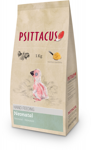 Psittacus Hand Feeding Neonatal